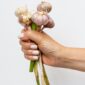 Bawang putih mengandung sejumlah nutrisi penting, termasuk kalsium dan selenium, yang penting untuk kesehatan tulang. (Pexels/Karolina Grabowska)
