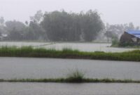 Ilustrasi Hujan. (Pixabay.com @ajaykhada).