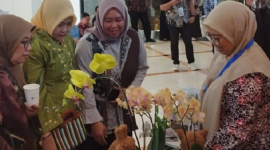 UMKM Priangan Timur kini bisa tampil di Galeri Foto Hallo Tasik tanpa biaya promosi. (Instagram.com @dkukmpciamis)